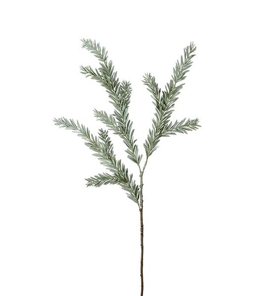 Hovedbilde Kvist (grågrønn 100 cm)