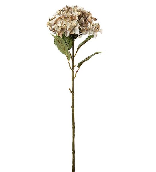 Hovedbilde Hortensia (beige 110 cm)