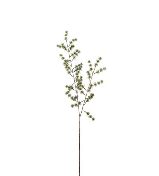 Hovedbilde Lerkekvist (grønn 80 cm)