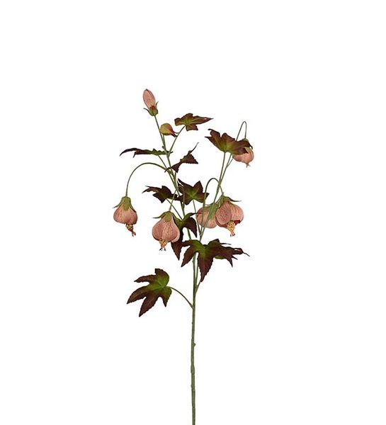 Hovedbilde Blomsterlønn (brun 83 cm)