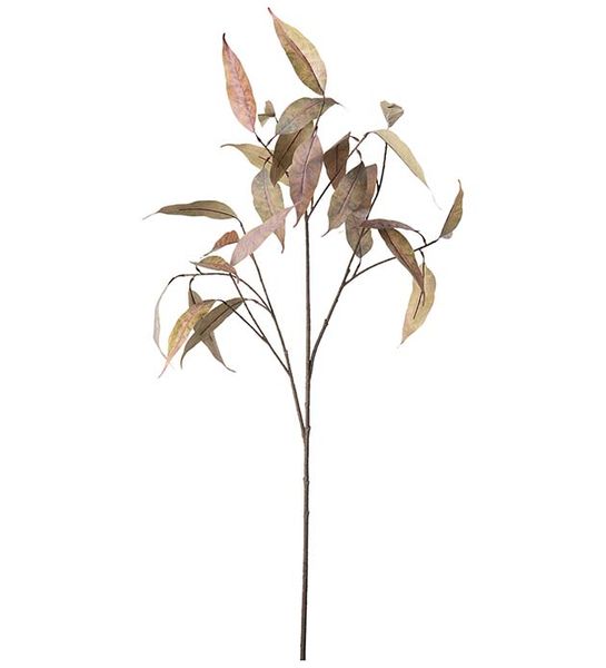 Hovedbilde Eucalyptus (90 cm) brun
